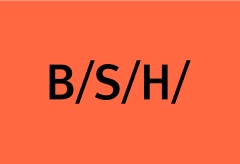 BSH Drives and Pumps s.r.o.